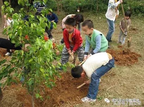 3月 我们一起去途居开沙岛房车露营地植树吧