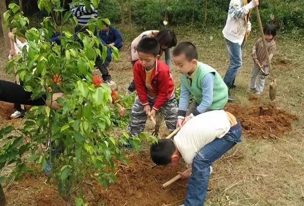 3.12开沙岛途居房车露营地-2021年植树节等你来，让环保扎根现在，用绿色昭示未来